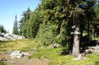Top of slide, trail now swings left 2009-09.